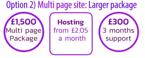 Option 2) Small business, Multi page website package option