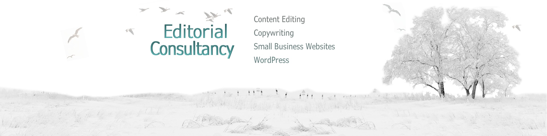 Editorial Consultancy